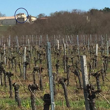 Superbe Gite A La Campagne Dans Le Bordelais Saint-Vivien-de-Blaye المظهر الخارجي الصورة