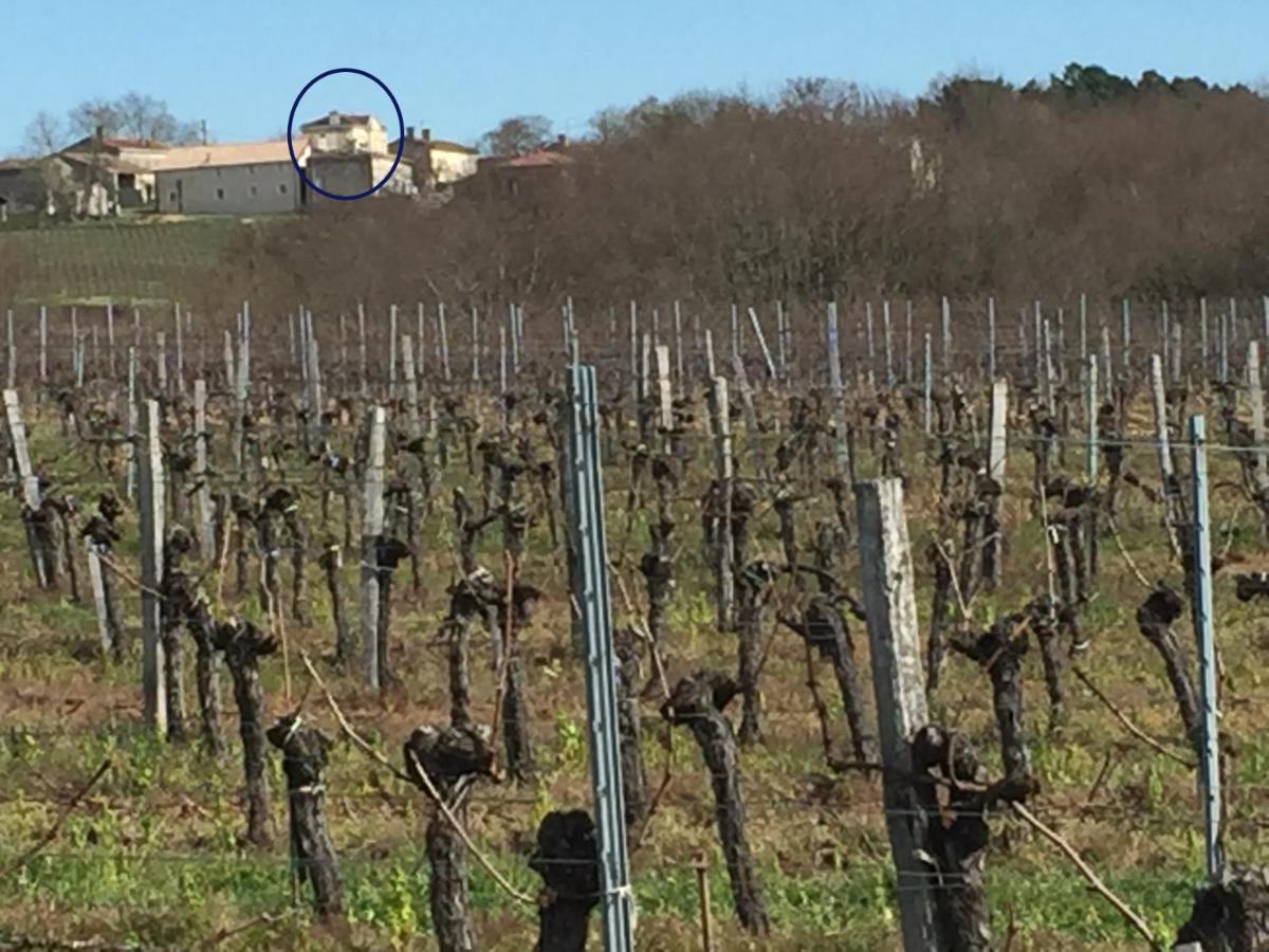Superbe Gite A La Campagne Dans Le Bordelais Saint-Vivien-de-Blaye المظهر الخارجي الصورة